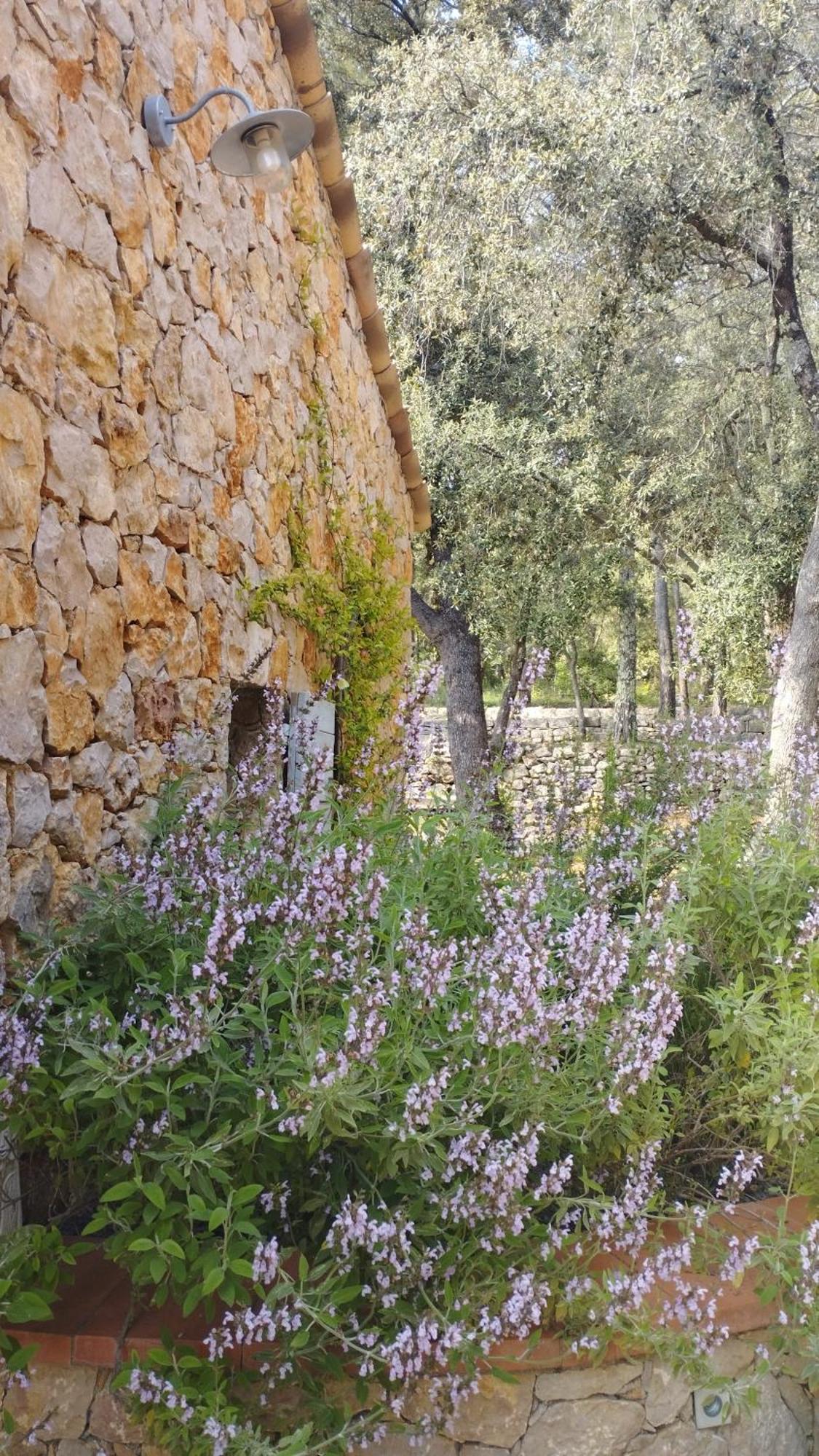 La Bergerie Des Colles Panzió Entrecasteaux Kültér fotó