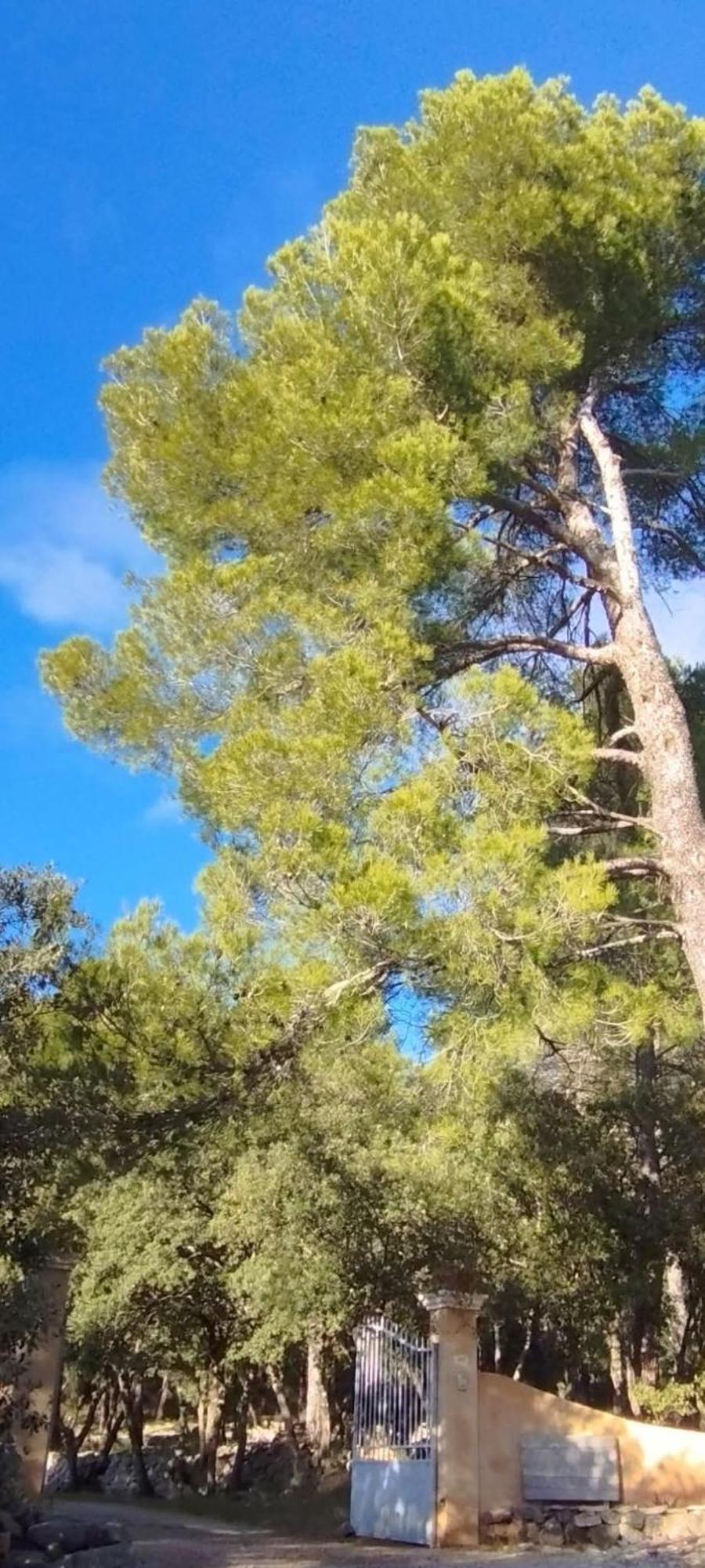 La Bergerie Des Colles Panzió Entrecasteaux Kültér fotó